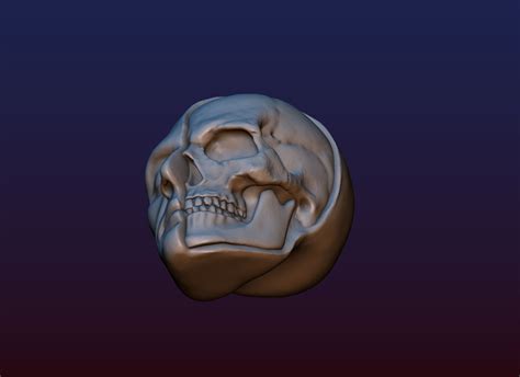 Half Face Skull D Print Model D Model Blend Fbx Obj Stl