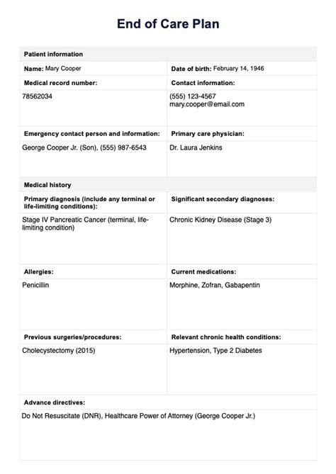 End Of Life Care Plan Template And Example Free Pdf Download