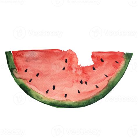 Watermelon Watercolor Elements 15084507 Png