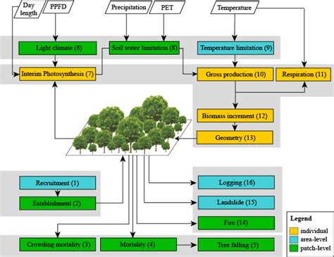 processcomplete formind