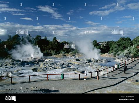 Erupting geysers and mineral terraces Whakarewarewa thermal area ...