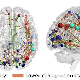 Top Structural Connectivity Related To The Recovery Of Criticality