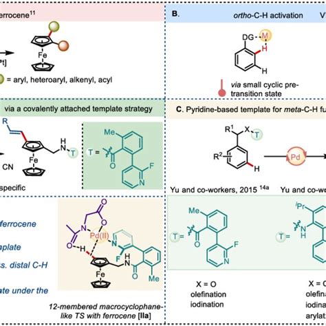 Template Tuning For Distal Ch Functionalization Of Ferrocene