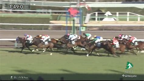 専門紙元記者の小笠原が【中山牝馬s】をレース回顧！勝ち馬コンクシェルの今後の取捨は？ 必勝！岡井塾ブログ