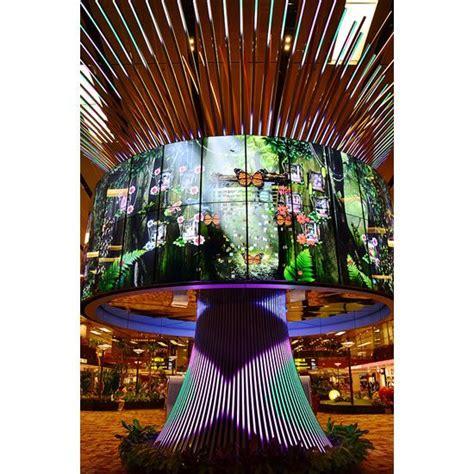 Singapore Changi Airport Social Tree provides travellers to be part of Changi Airport’s history ...