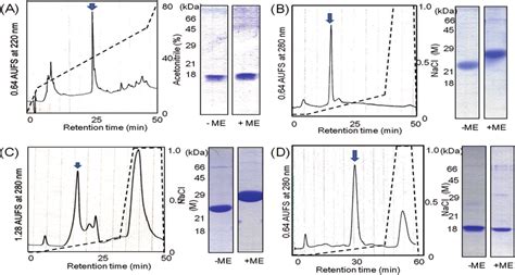 Isolation Of Mucus Proteins A 2S Albumin Precursor Was Isolated By