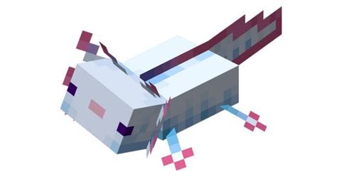 5 Rarest Axolotl Minecraft And How To Get Them