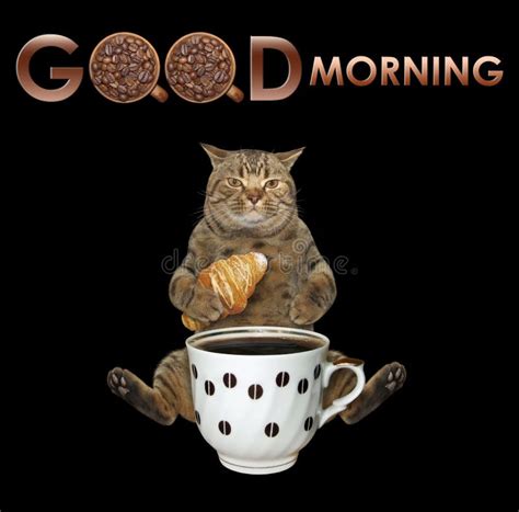 Cat With Coffee And Croissant 3 Stock Image Image Of Bean Delicious