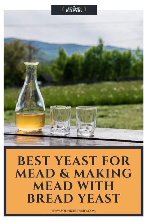 Best Yeast For Mead And Making Mead With Bread Yeast