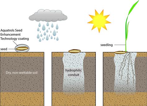 Aquatrols Seed Enhancement Technology Granted Patent Protection in ...