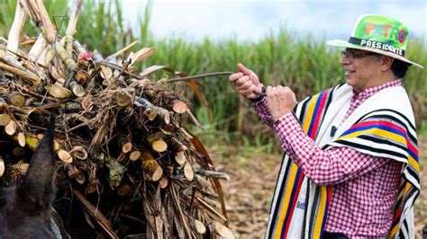 Guerra O Tierras El Dilema En La Nueva Pol Tica Antidrogas Colombiana