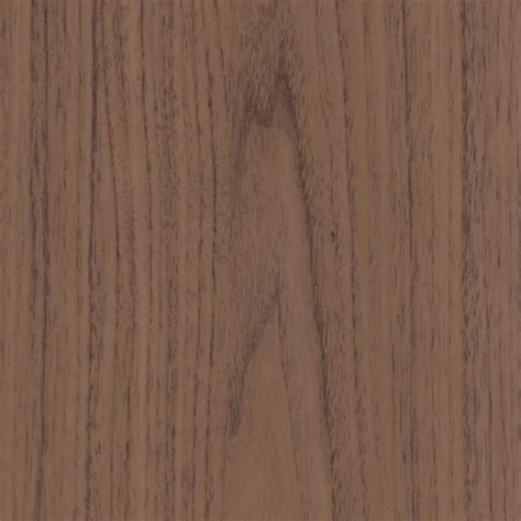 Belbien SW 120 Naked Walnut SC