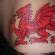 Welsh Flag Tattoos