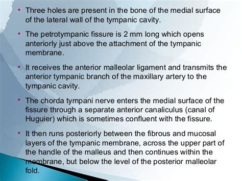 ANATOMY OF MIDDLE EAR CLEFT