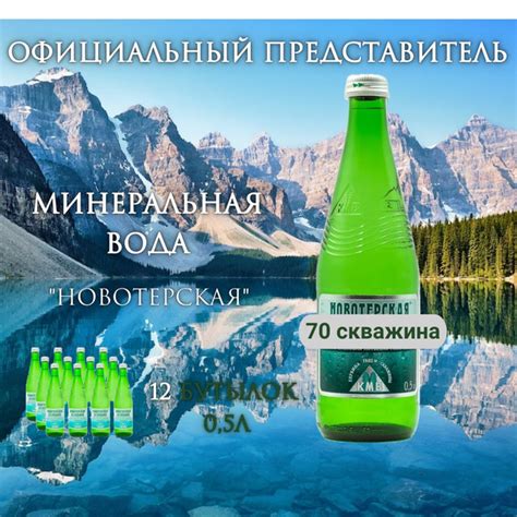 Новотерская Вода Минеральная Газированная 6000мл. 12шт - купить с ...