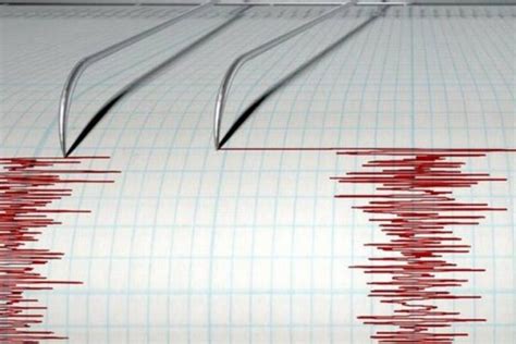 México Sur Noticias Columnas En Tabasco Reportan Sismo De Magnitud 46 En Guerrero El