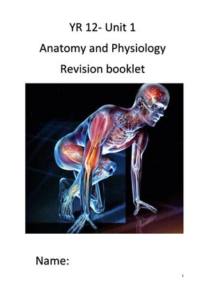 BTEC Sport Level 3 Revision Guide Muscular System BTEC Revision Guide