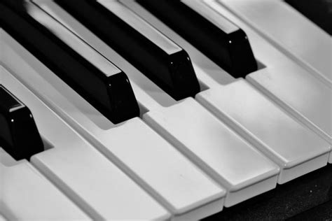 Free Images Music Black And White Technology Musician Musical