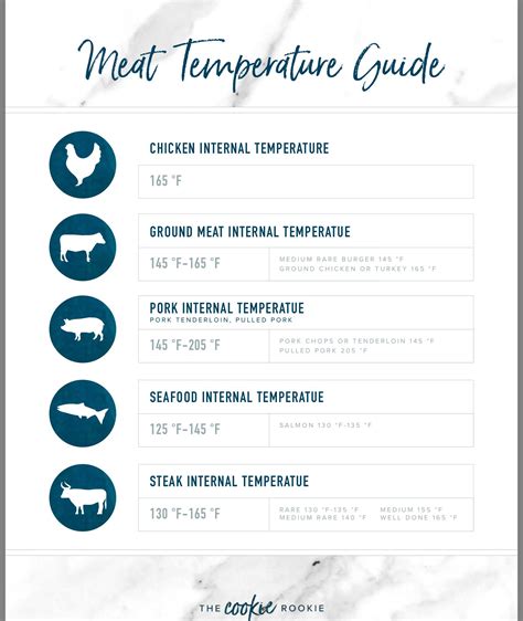 Ground Beef Temperature Guide – Yoiki Guide