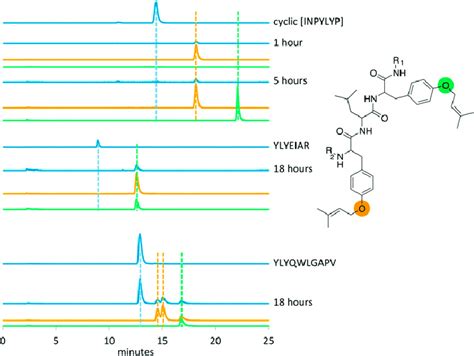 Extracted Ion Chromatograms From Lcms Analysis Of Pagf Assays Showing Download Scientific