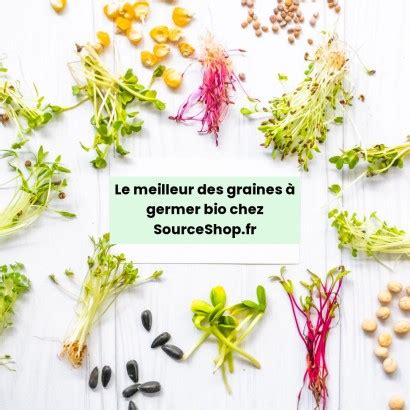 Graines à germer mix 4 radis BIO 100g