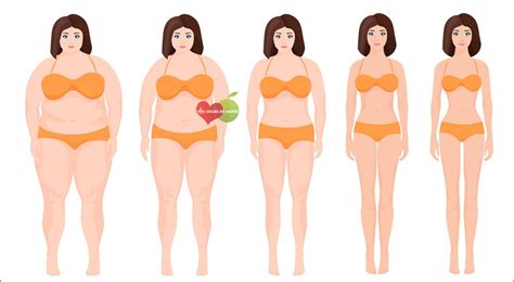 As 9 Dicas De Como Se Livrar Da Gordura Da Barriga Dicas De Saúde