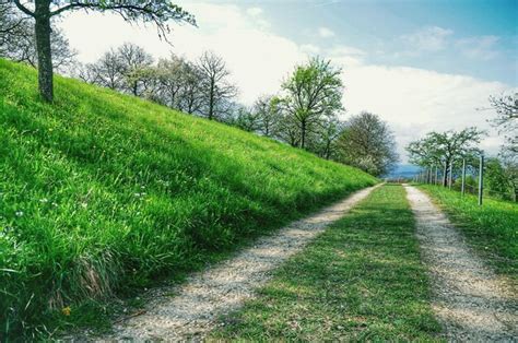 Premium Photo Dirt Road Amidst Grass Against Sky