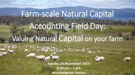 Farm Scale Natural Capital Accounting Field Day Holbrook Landcare Network