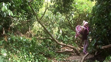 Vídeos porno xxx XVIDEOS