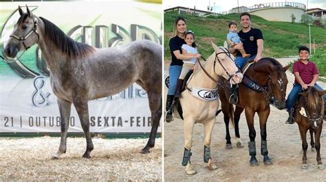 Conheça os cavalos mais caros do mundo e saiba por que eles valem