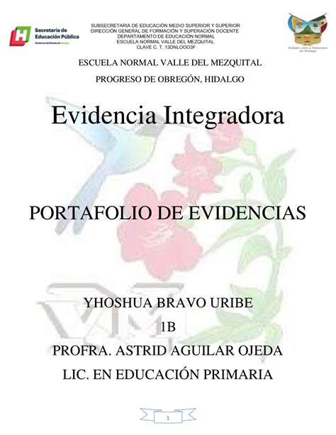 Calaméo Portafolio De Evidencias Actividad Integradora