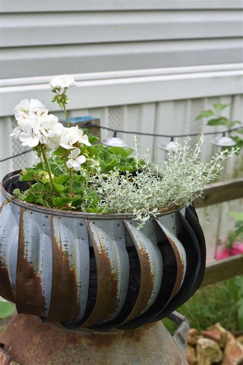 20+ Galvanized Tubs For Planters