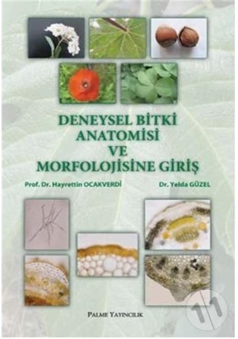 Deneysel Bitki Anatomisi Ve Morfolojis giriş palme Fiyatları ve Özellikleri