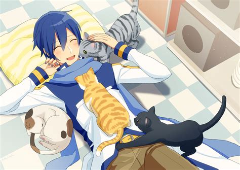 Kaito Shion Vocaloid Kaito Vocaloid Funny Kairo Grey Cats Happy