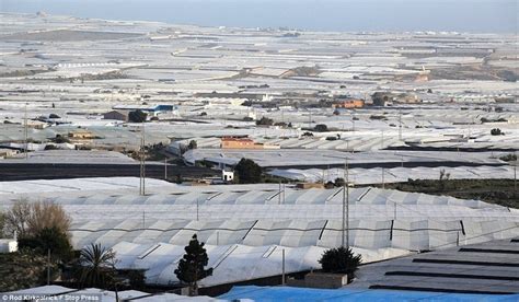 The Greenhouses Of Almeria Amusing Planet