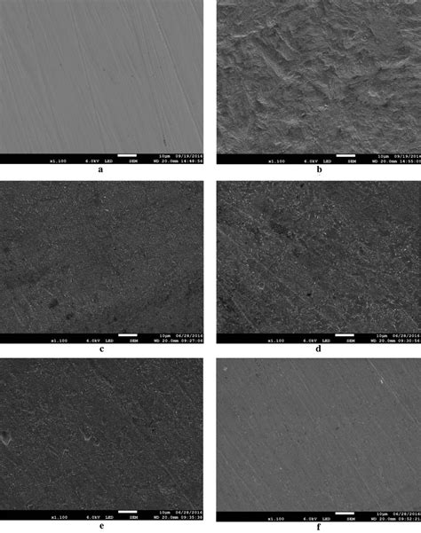 Sem Micrographs Of Cs Surface A Just After Being Polished B Download Scientific Diagram