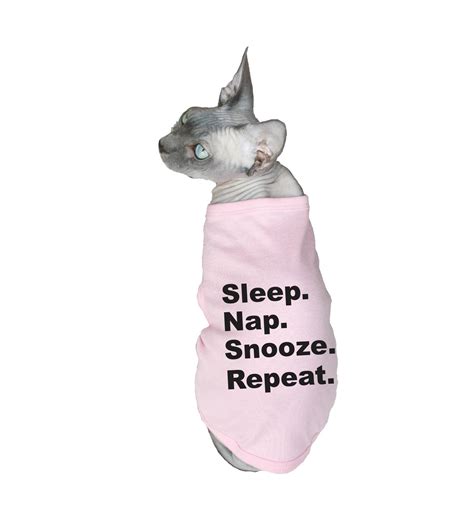 funny sayings with cats 7