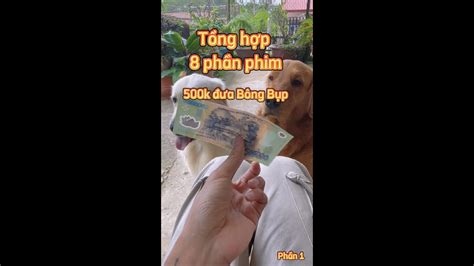tong hop  phan phim cua binh bong bup binhbongbup youtube