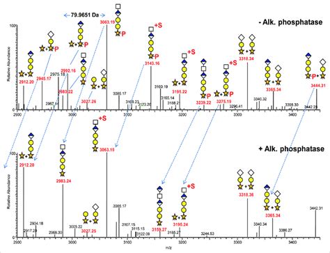 Deconvoluted Lc Msms Of The Linker Tryptic Peptide 210 238 And