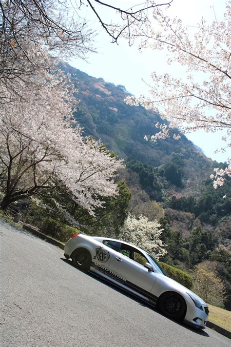 スカイラインクーペのドライブ・桜とコラボ・愛車撮影に関するカスタム事例｜車のカスタム情報はcartune