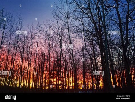 Sunrise in Canadian winter Stock Photo - Alamy