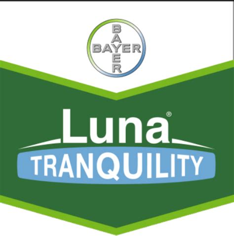 Фунгициды: Азофос, Хорус, Луна Т, Строби, Серкадис, Медея. 2025