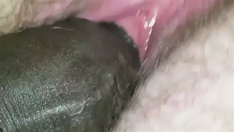 Bbw Backseat Fling Xhamster