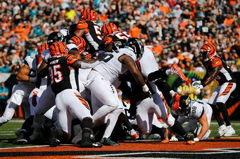 Cincinnati Bengals Vs Jacksonville Jaguars 2023 Everything To Know