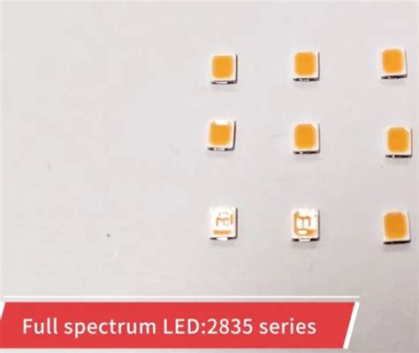 SMD LED 2835 White Light SMD LED 6500K - 2835 and SMD LED