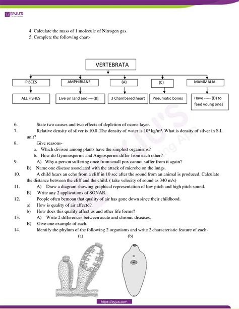 Solution Cbse Sample Paper Class 9 Science Set 5 Studypool