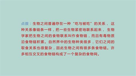 教科版科学五年级下册16 食物链和食物网 学案课件共21张ppt 21世纪教育网