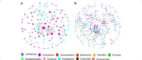 Molecular Ecological Network Visualization Of Species Interactions In