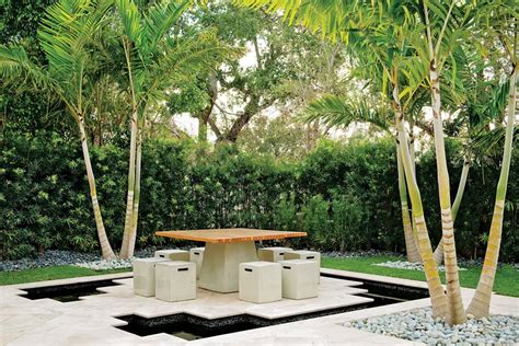 Top Uses of Palm Trees in Garden Design | Garden Design