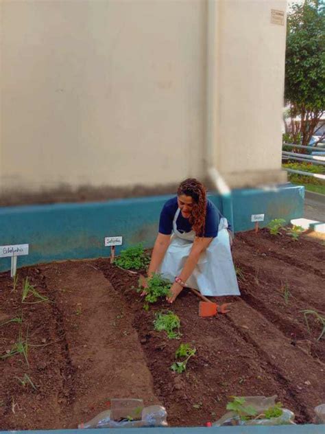 Horta Coletiva Sensibiliza Para O Cuidado Ambiental Cidade Nova